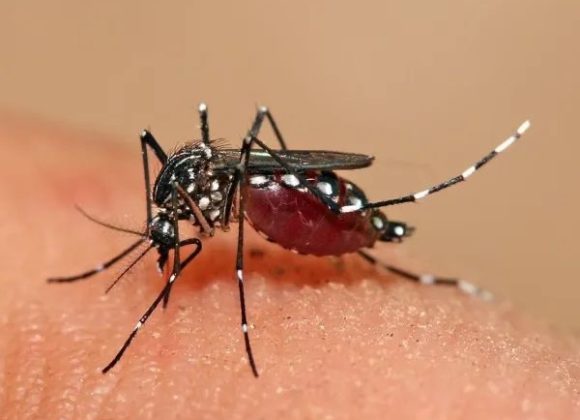 MALARIA AND SICKLE CELL DISEASE: SPOTLIGHT ON NIGERIA IMG_6547